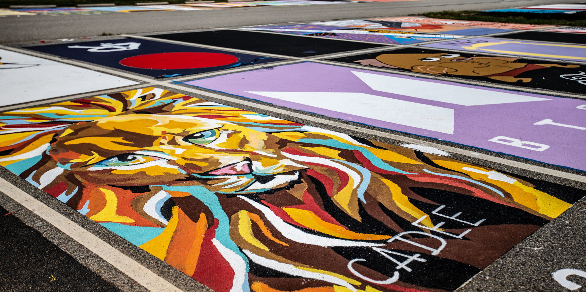 Painted parking spaces